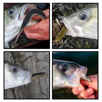 Leurre souple Spinpoler Worm, corps segmenté côtelé, imprégné de sel, swimbait 7,5cm 9cm 11cm, eau douce et eau salée