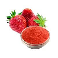 Extrait de Fraise Biologique Certifié Halal Soluble dans l'Eau en Gros