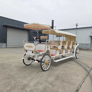 Vente directe usine : Carrosse électrique blanc à 4 roues et 4 rangées pour mariages et visites touristiques, avec 4 à 6 places - Product Image 6