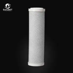 ACP Series Precise 0.5 um 1 um Coconet Shell Activated Carbon Filter Cartridge for Water Filtration Water Treatment