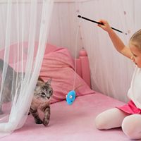 Jouets populaires en promotion pour chats : souris en peluche amusantes, jouets à mâcher pour chats, cinq couleurs, jouets à la catnip pour animaux de compagnie