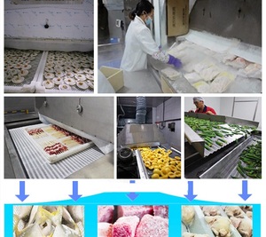 Frutas y verduras <span class=keywords><strong>300</strong></span> kg/H congelados rápidamente pequeña máquina Iqf túnel congelador - Product Image 6