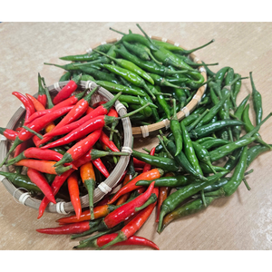 พริกไทยแดงสดแช่แข็งแบบเวียดนามเครื่องเทศสมุนไพรเดี่ยวแบบทนทาน - Product Image 4
