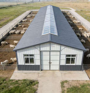 Rumah Gudang Pertanian Struktur Baja Pracetak Desain Industri Garansi 5 Tahun untuk Pembiakan Domba Kambing-ZHILIAN STEEL - Product Image 5