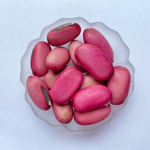 ถั่วดาบคุณภาพสูง (<span class=keywords><strong>Canavalia</strong></span> <span class=keywords><strong>Gladiata</strong></span>) ถั่วแจ็คดิบแห้งธรรมชาติ สีแดง สดหรือแห้ง บรรจุกล่องสำหรับชงชา - Product Image 2