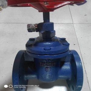 Vanne à opercule à tige non montante Longyao Shuangyong DN80 16 T S en fonte pour applications hydrauliques - Product Image 4