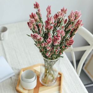 Flores Secas Ombre (Cola de Fénix/<span class=keywords><strong>Celosia</strong></span>) Blancas y Rosas de 60-70cm para Regalos de Navidad y Decoración del Hogar - Product Image 2