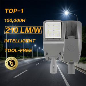 Luminaria LED para Exteriores de Grado Profesional, con Cubierta de Vidrio Templado y Aluminio Fundido a Presión, IP65 IK09, para Carreteras Urbanas - Product Image 1