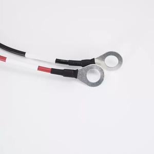 Harness Kabel Pengisian Baterai 2-Pin Kustom dengan Terminal Cincin dan Konektor Panel Tahan Air untuk Sepeda Motor dan Mobil - Product Image 6
