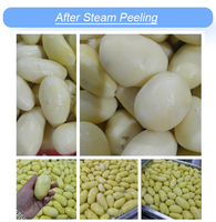 Perziken Tomaten Yams Zoete Aardappel Schilmachine Fruitreiniging Peeling En Snijden Met Kernpompcomponent