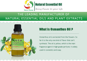 Olio di fragranza di profumo di osmanto natura <span class=keywords><strong>e</strong></span> olio di fiore di osmanto cibo a vapore - Product Image 5
