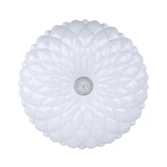 LED Ceiling Light 24W Model: BW-CL2401 In House Light Product Wholesales From Thailand High Quality Export Grade Indoor Lights