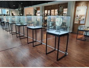 Tùy chỉnh kính trang sức hiển thị Showcase Antique cửa hàng hiển thị trường hợp với khung kim loại - Product Image 4