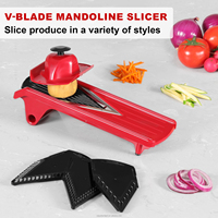 Trancheuse manuelle en acier inoxydable pour légumes et chips de pommes de terre Mandoline en plastique pour la cuisine domestique