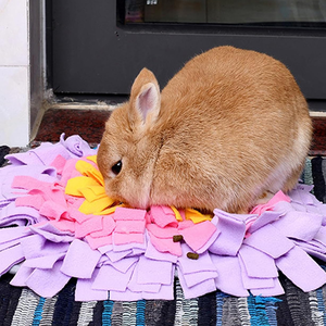 Tapis de recherche de nourriture pour petits animaux, tapis interactif pour l'alimentation, jouet distributeur de friandises, tapis de recherche de nourriture pour lapin, cochon d'Inde - Product Image 6