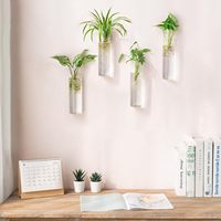 Kits de terrariums en verre borosilicate écologiques personnalisés, ensemble de jardinières murales rondes pour la maison et le bureau