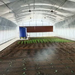 Invernadero agrícola grande de un solo tramo con película negra Película verde para agricultura