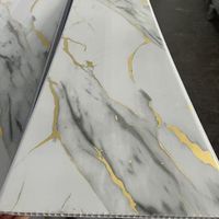 Panneau de plafond suspendu en PVC imperméable au design moderne et populaire pour les applications dans les salles de bain, les hôtels et les hôpitaux