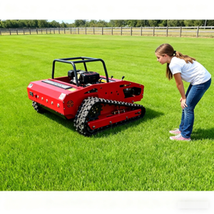 Cortadora de Césped a Control Remoto para Terrenos Inclinados, Nueva Oferta - Product Image 1