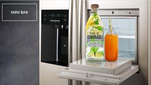 Máy Làm Đá R600a/75G Tủ Lạnh Mini Hai Cửa Cạnh Nhau Tủ Lạnh Gia Đình - Product Image 4