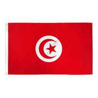 Fabricant professionnel de drapeau du Congo de haute qualité avec l'impression et la finition expertes de tous les drapeaux nationaux menant l'usine