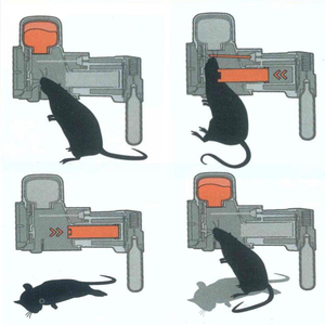 Kit Trappola Intelligente e Umanitaria Atossica per Ratti e Topi, Macchina Automatica Multicattura con Cilindri di CO2 - Product Image 5