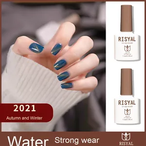 Risyal UV phototherapy sơn móng tay keo Set New bán buôn Cat Eye đầy đủ Jelly keo Ice Trong Suốt LED chai cho Nail Art Salon - Product Image 4