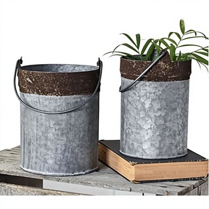 Maceta de Hierro Galvanizado con Asa, Diseño Clásico, Duradera para Uso en Interiores/Exteriores y Decoración de Jardín - Product Image 1