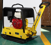 Compacteur à plaques durable Machine de construction légère 250KG à usage intensif Compacteur à plaques réversible à deux voies