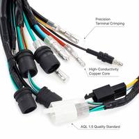 Conjunto de Cableado Principal para Bicicleta Eléctrica Magnum, Aislado con PTFE Impermeable, Cobre Puro, IP67, Sistema Eléctrico para Bicicleta Urbana