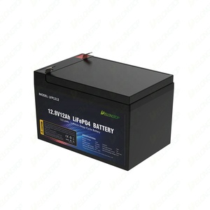 Mejor Precio para Batería de Iones de Litio de 12v 6Ah 10Ah 12Ah 20Ah para Almacenamiento de Energía con BMS y Envío Rápido, Batería de Iones de Litio LFP12300 - Product Image 1