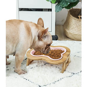 Mangkuk Anjing Keramik Tinggi dengan Dudukan Lucu Ditinggikan Miring Anti Muntah Piring Kucing Pribadi untuk Makanan dan Air - Product Image 2