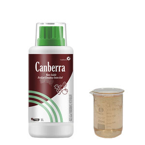 Fertilizante líquido orgánico Kabera, edulcorante <span class=keywords><strong>foliar</strong></span> de aminoácidos <span class=keywords><strong>para</strong></span> sandía, uva, fresa con ácido húmico EDTA - Product Image 5