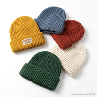 Gorro de Invierno Personalizado con Logotipo Bordado, Acrílico, con Puño, Cálido, Suave, Unisex, MOQ Bajo, OEM, Venta al Por Mayor, para Hombre y Mujer