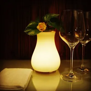 Decorazione della casa lampada d'atmosfera luce illuminante Mini ristorante Hotel caffetteria da tavolo vaso per fioriera a Led vaso per fiori illuminato a Led