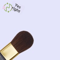 Nouveau pinceau de maquillage pour blush à joue unique, en poils de cheval, manche en plastique doré, petit outil de maquillage plat, vente en gros immédiate