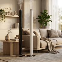 Diffuseur d'arômes liquides double rechargeable de qualité commerciale, type C, contrôlé par application, grand volume de 100 ml, en alliage d'aluminium, pour usage hôtelier