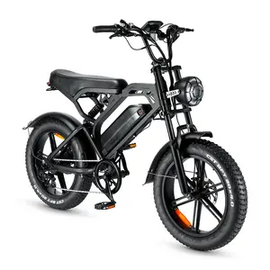 Electric Bike 20 Inch Fat Tire Off Road Ebike 750W 48V Powerful Mountain Electric Bicycle For Adults Bicycle