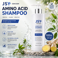OEM ODM Label Pribadi 500ml Sampo Asam Amino Jahe Berbasis Tumbuhan Pengontrol Minyak Perawatan Kulit Kepala Penambah Volume Perawatan Rambut untuk Semua Jenis Rambut
