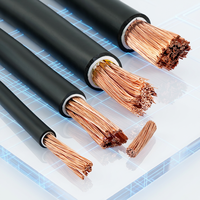Câble d'alimentation N2XY 0,6/1 kV, conducteur en cuivre, isolation XLPE, gaine en PVC, DIN VDE 0276, pour installation fixe, câblage de bâtiment