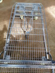 Chariot à chariot plat en acier zingué robuste avec roues Chariot logistique portable à traction manuelle Chariot à plate-forme plate pour shopping - Product Image 3