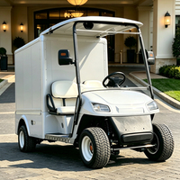 Mobil Golf Listrik Kustom dengan Radio AM FM, Hiburan, Rekreasi, dan Kotak Kargo