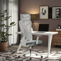 Chaise de direction ergonomique moderne, cadre gris, support lombaire réglable à 3 positions, dossier en maille respirante, mobilier de bureau, rabattable