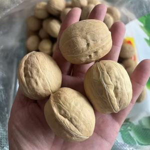유기농 호두 베스트 셀러 제조업체 도매 프리미엄 유기농 호두 쉘 중국 호두 커널 판매 - Product Image 6