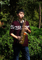 SLADE Professional OEM Custom Logo Saxofon Lacquer Brass Wind Instrument Alto Sax Jazz Band Budget Cheap Eb Alto Saxophone