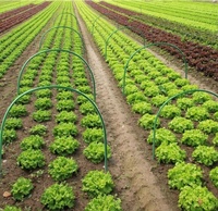 Cerceaux de serre pour couverture de plante Support Portable en plastique cerceaux de jardin cadre de Support de Tunnel de croissance pour tissu de jardin
