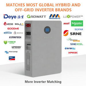 Batterie Super Condensateur LiFePO4 Solaire Ionique 48V 51.2V 5Kwh 10Kw 20Kwh 100Ah 200Ah pour Stockage d'Énergie Domestique Powerwall - Product Image 3