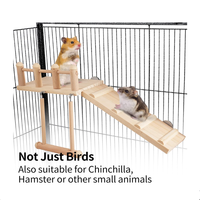 Plateforme d'atterrissage pour oiseaux en bois multifonctionnelle, robuste, sûre et écologique, personnalisable, avec balançoire et échelle