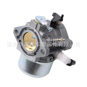 Carburateur Briggs Stratton 699831 694941 283702 283707 Pièce de rechange mécanique - Product Image 1