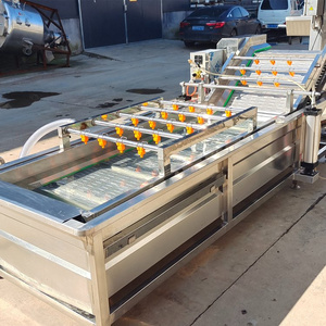 Máquina Peladora y Limpiadora de Frutas Motorizada de 1100W, 75KG, 85x60x75cm, 1 Año de Garantía - Product Image 6